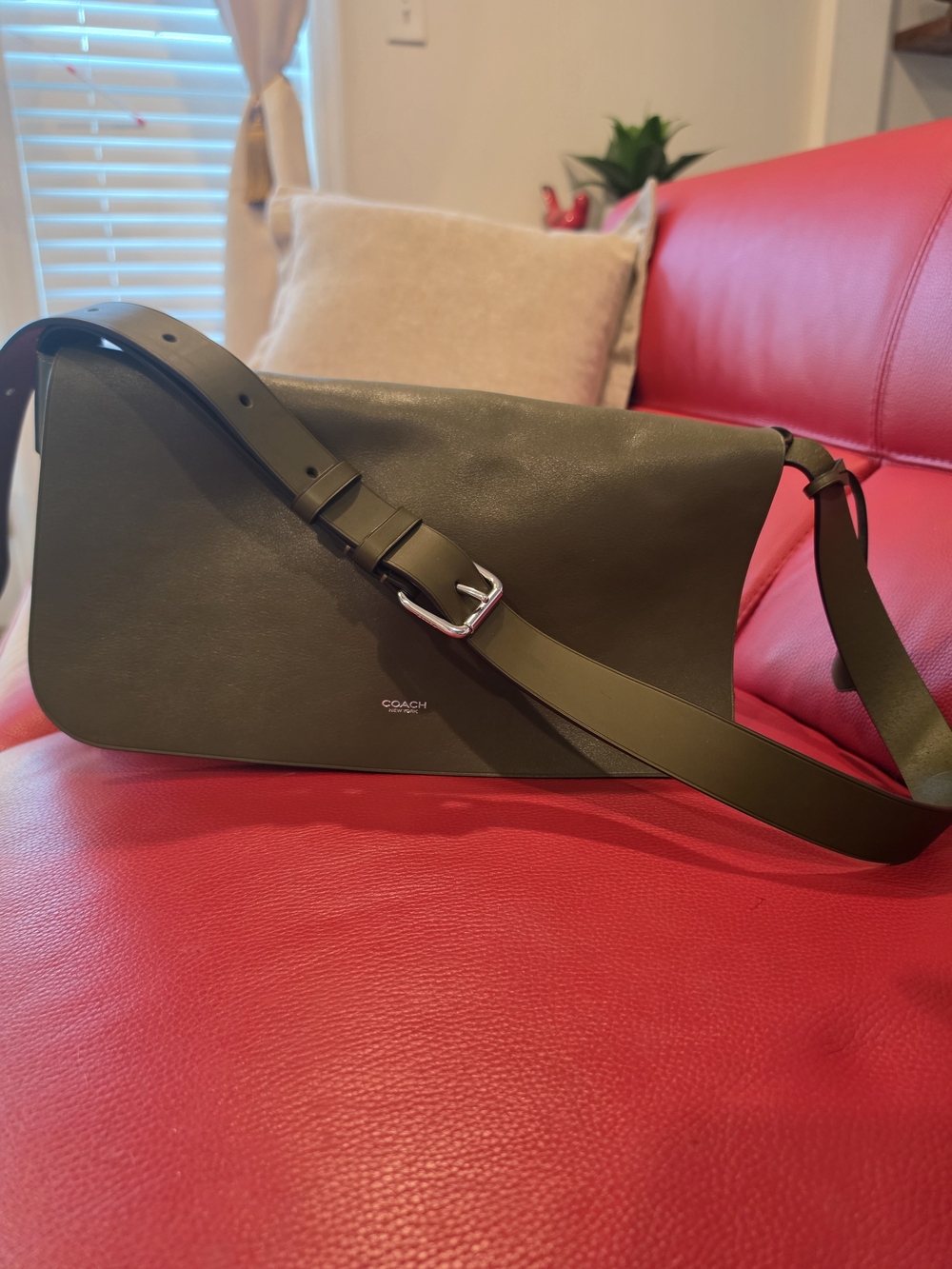 COACH LUDLOW Messenger bag In OLIVE RARE Colorway